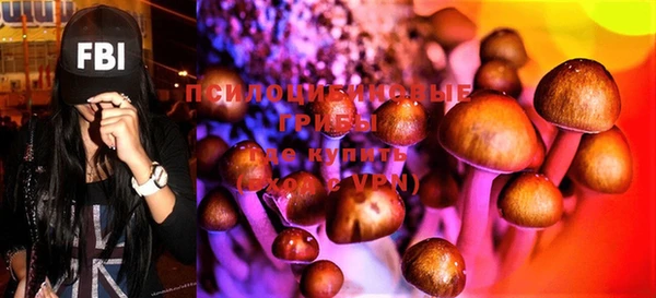 PSILOCYBIN Навашино