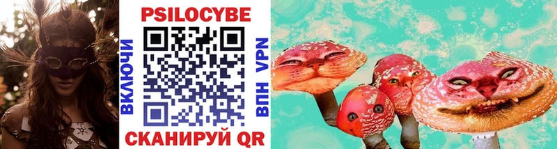 Купить закладки  Севск  Галлюциногенные грибы Cubensis 